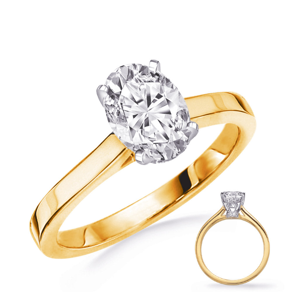Two Tone Hidden Halo Diamond Semi-Mount Engagement Ring